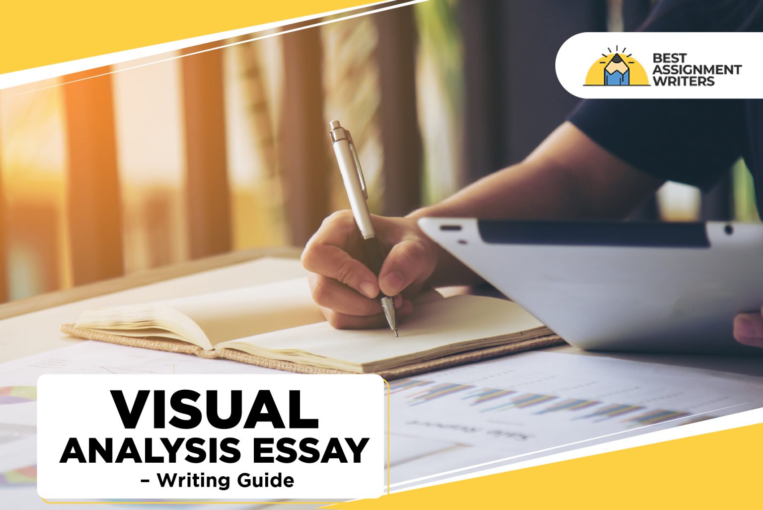 introduction for visual analysis essay